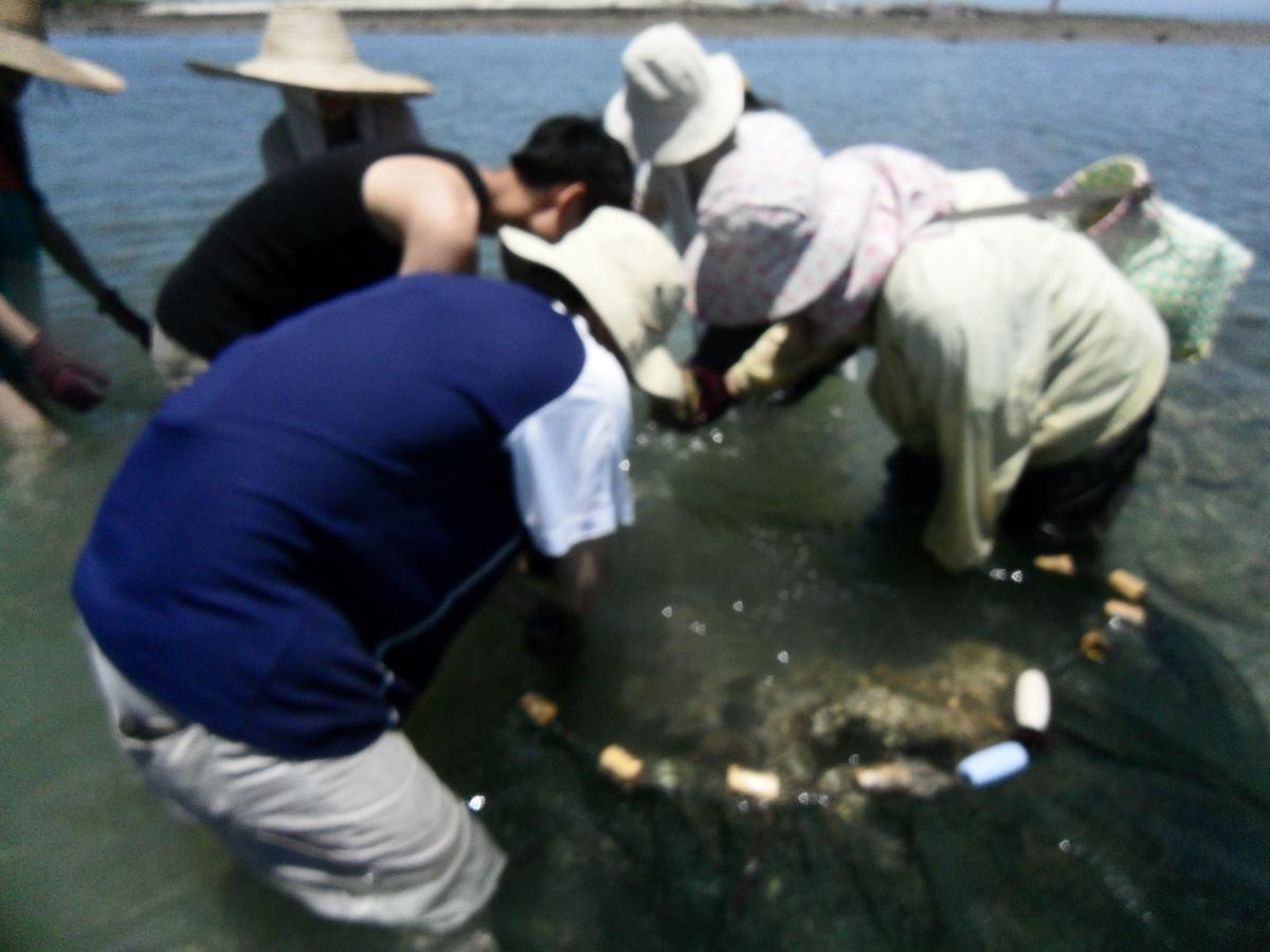 Penghu Chenhi Bay Homestay Baisha Εξωτερικό φωτογραφία
